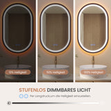 Badspiegel mit Beleuchtung Oval schwarz 50 x 80 cm Aluminiumrahmen direkter und indirekter LED-Beleuchtung Antibeschlag Touch dimmbar