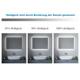 LED Badspiegel Badezimmerspiegel mit Beleuchtung ECHOS-Serie 70x50cm Typ A Dimmbar Touch Schalter Kaltweiß 6400K