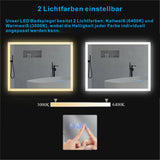 Beleuchteter Badspiegel LED Wandspiegel 80x60cm ECHOS Typ C | Touch Sensor Dimmbar Spiegelheizung Kaltweiß 6400K Warmweiß 3000K