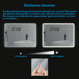 Badspiegel Beleuchtet LED Badezimmerspiegel 80x60cm BORAS Typ C | Touch Sensor Dimmbar Antibeschlag Kaltweiß 6400K Warmweiß 3000K